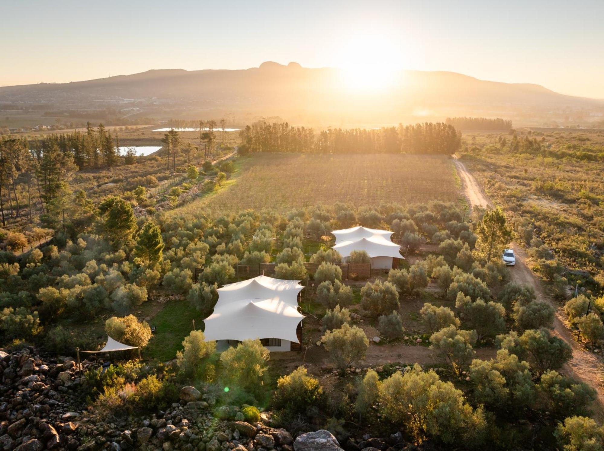 Wagyu Mountain Lodge Paarl Exterior foto